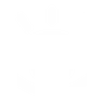 Observe